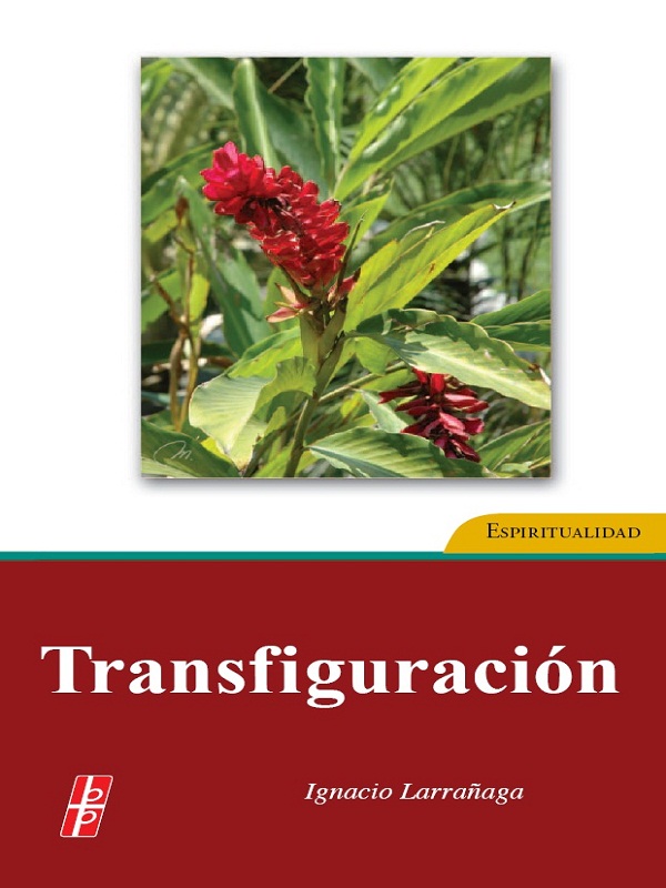 Transfiguración: Un Programa de Santificación Cristiflcante