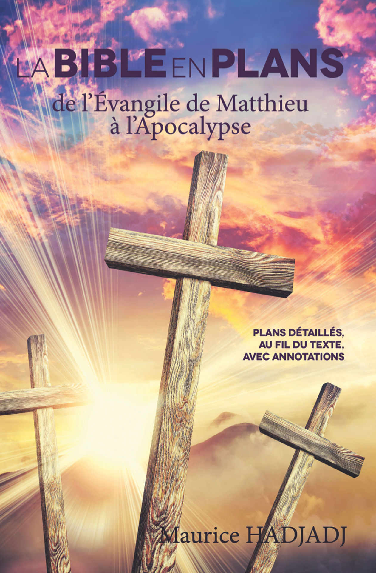 LA BIBLE EN PLANS - De l’Évangile de Matthieu à l'Apocalypse: Plans détaillés, au fil du texte, avec annotations (French Edition)